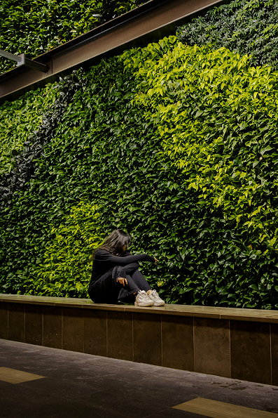 Plant Wall