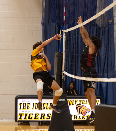 Volleyball 3