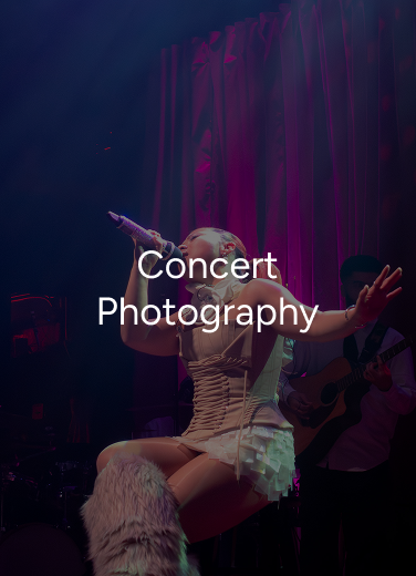 Concert Photography Section