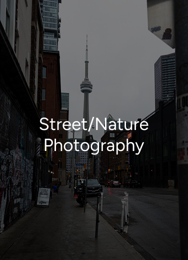 Street/Nature Photography Section